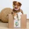 JUNIOR Box wyprawka szczeniaka małych ras<br>Starter PERRO<br>Wyjątkowe Pierwsze Kroki