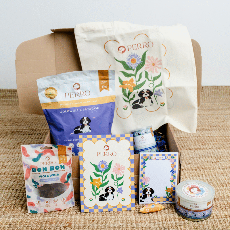 JUNIOR Box wyprawka szczeniaka małych ras<br>Starter PERRO<br>Wyjątkowe Pierwsze Kroki