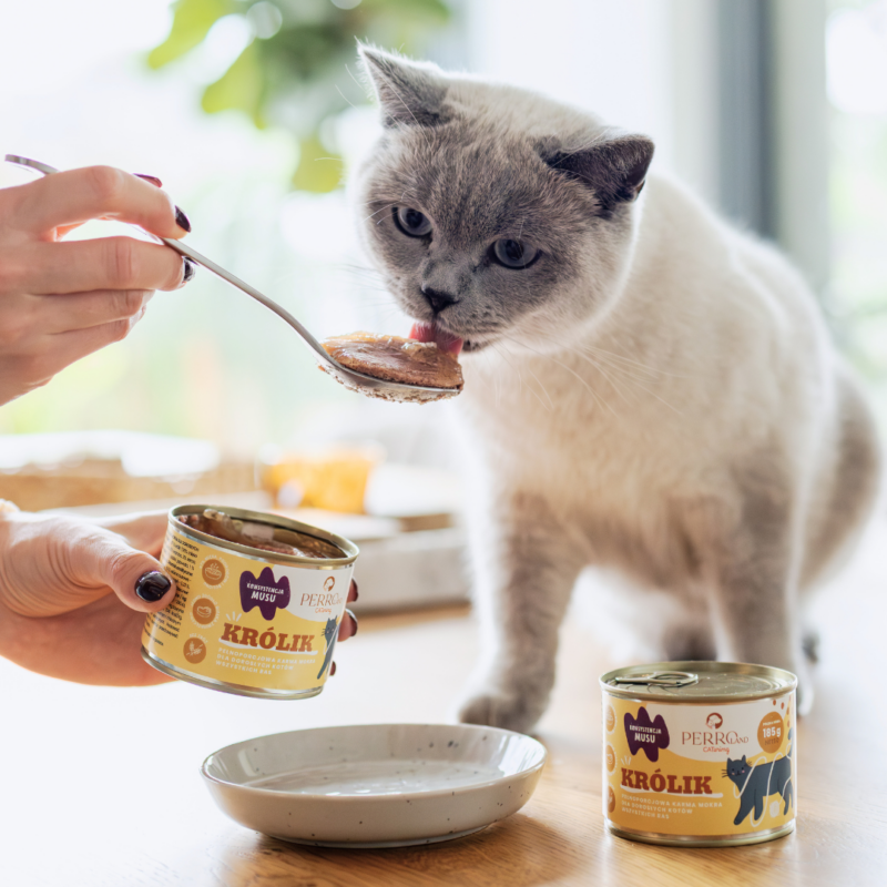 Królik – karma mokra dla kotów<br>PERROland CATering<br>185g lub 400g