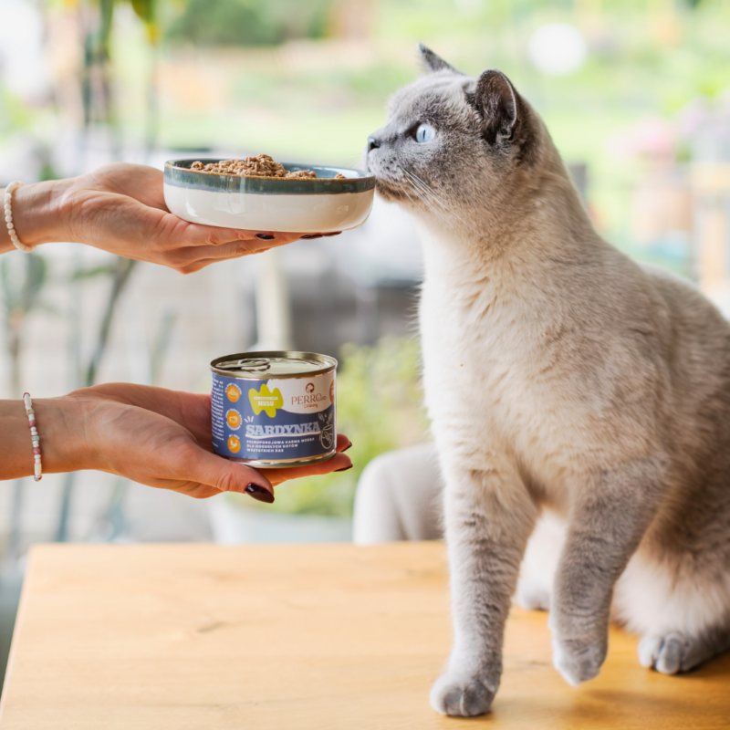 Sardynka – karma mokra dla kotów<br>PERROland CATering<br>185g