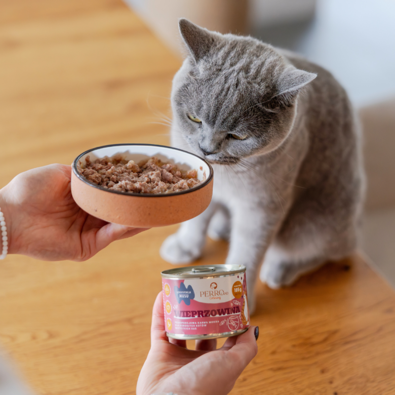 Wieprzowina – karma mokra dla kotów<br>PERROland CATering<br>185g lub 400g <BR>6-pak