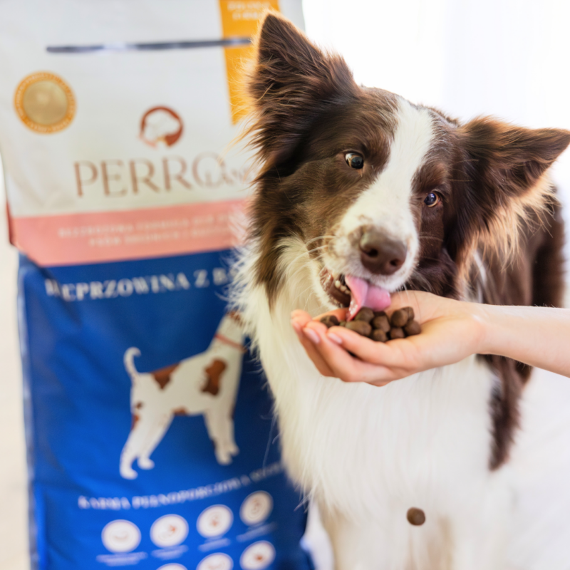Karma sucha Wieprzowina z batatami – bezzbożowa formuła dla psów dorosłych średnich i dużych ras<br>1kg