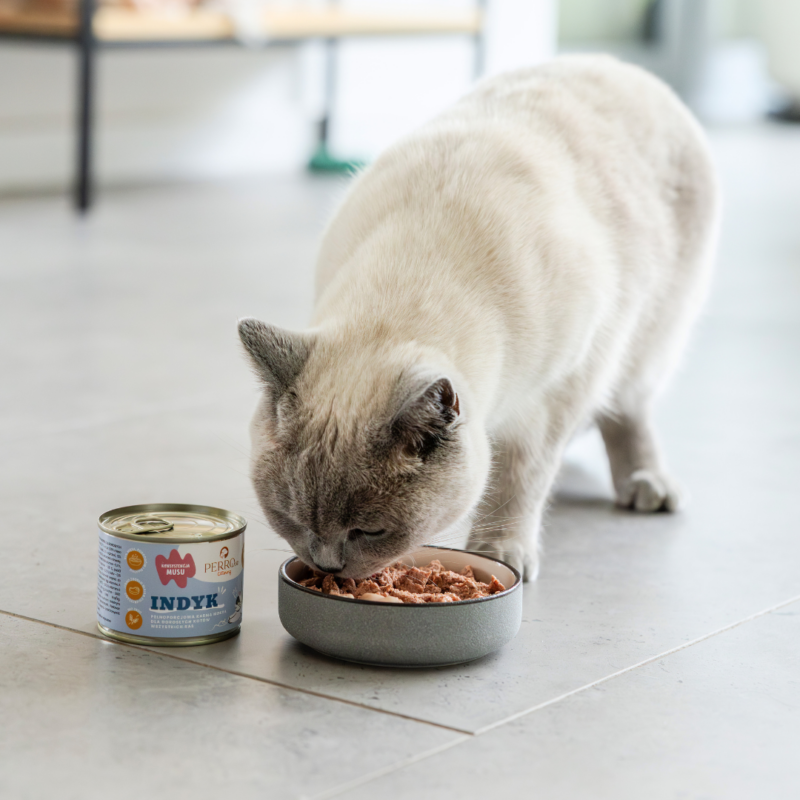 Indyk – karma mokra dla kotów<br>PERROland CATering<br>185g lub 400g